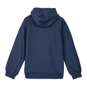 Cerda Stitch Φούτερ Hoodie (2900002275)