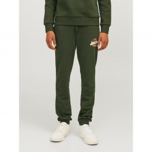 Jack and Jones Junior Παντελόνι Φούτερ Kombu Green (12258851)