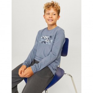 Jack and Jones Junior T-shirt Μακρυμάνικο Logo Flint Stone (12263092)