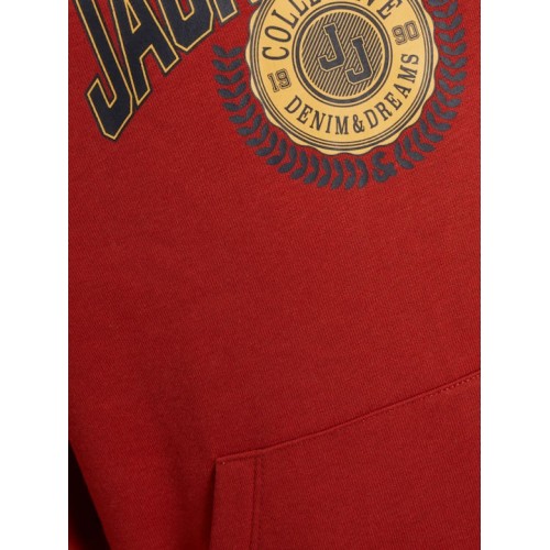 Jack and Jones Junior Φούτερ Red Ochre (12266971)