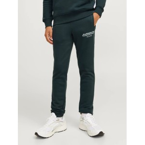 Jack and Jones Junior Παντελόνι Φούτερ Forest River (12267461)