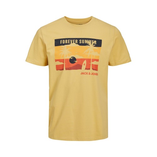 Jack and Jones Junior T-Shirt Chasing Sunsets Jojoba (12225495)