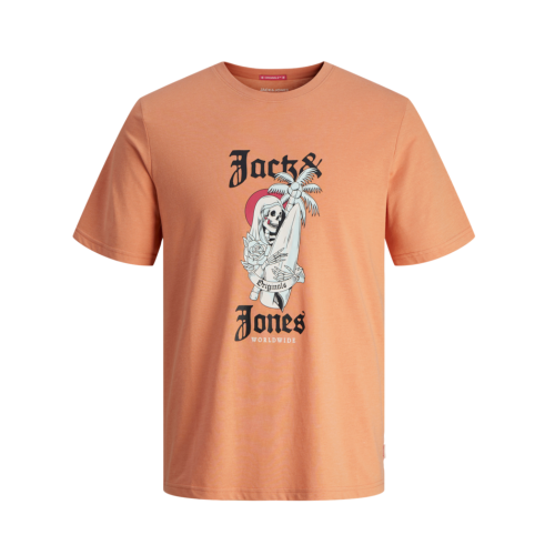 Jack and Jones Junior T-Shirt Coconut Skull Canyon Sunset (12257131)