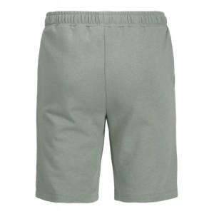 Jack and Jones Mini Βερμούδα Iceberg Green (12257300)