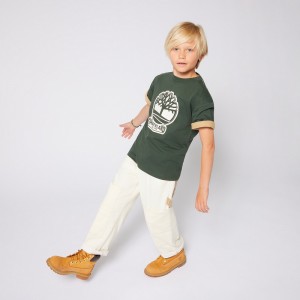 Timberland Short Sleeves Tee-Shirt Green Teen (T60422)