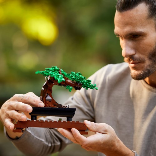 Lego Creator Bonsai Tree (10281)