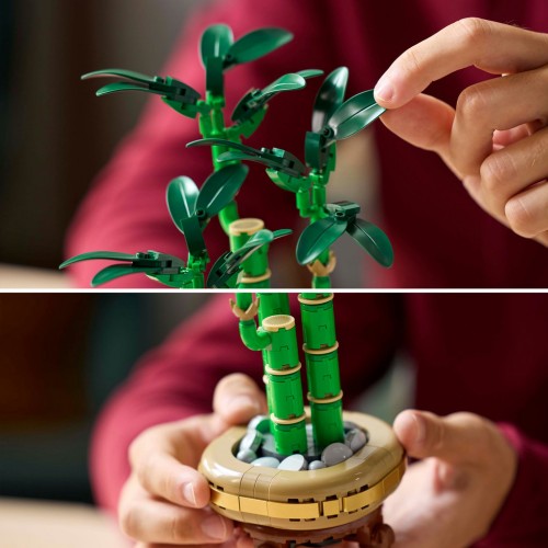 Lego Botanical Lucky Bamboo (10344)