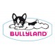 Bullyland